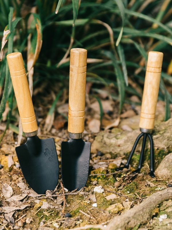 Conjunto De Ferramentas De Jardinagem Em Miniatura – Pá, Pote E Pequena Espátula Para Plantar E Cuidar De Suculentas E Flores Em Casa.  |   Ferramentas De Jardinagem Ferramentas De Jardinagem Ferramentas De Jardinagem