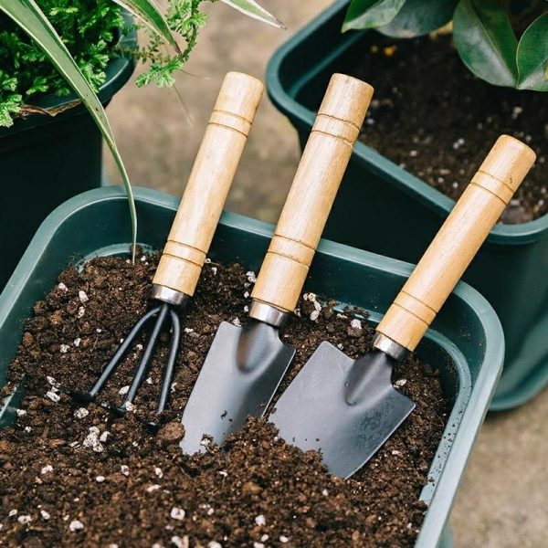 Conjunto De Ferramentas De Jardinagem Para Cultivo De Flores E Hortas Em Casa – Enxada, Pá E Pequena Espátula De Manganês Para Plantio Em Vasos.  |   Ferramentas De Jardinagem Ferramentas De Jardinagem Ferramentas De Jardinagem