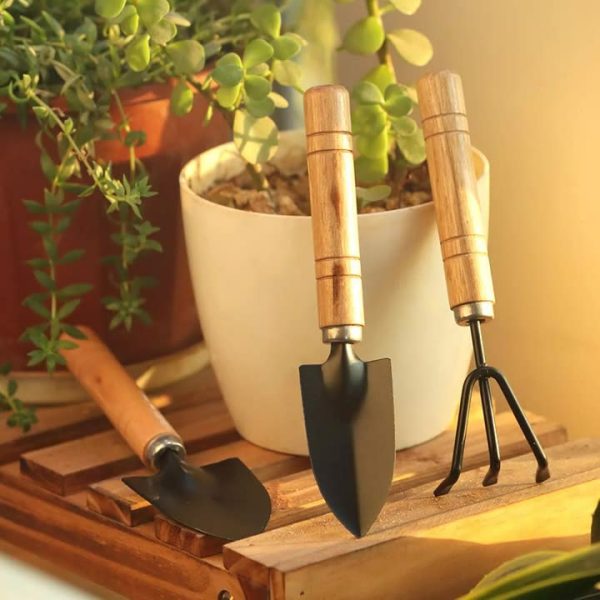 Ferramentas De Jardinagem Para Casa, Kit De Ferramentas Para Plantar Flores E Vegetais, Enxada Para Soltar A Terra, Conjunto De 3 Peças Com Pequena Pá Para Jardinagem Em Vasos.  |   Ferramentas De Jardinagem Ferramentas De Jardinagem Ferramentas De Jardinagem