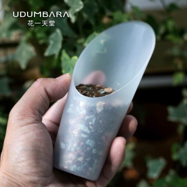 Pá De Suculenta Transparente Limitada – Ferramenta De Jardinagem De Alta Qualidade Para Plantar Em Vasos E Transplantar Terra.  |   Ferramentas De Jardinagem Ferramentas De Jardinagem Ferramentas De Jardinagem