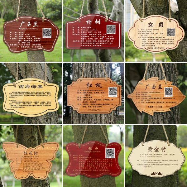 Personalização De Placas De Acrílico, Placas De Árvores, Placas Para Escolas E Parques, Placas De Identificação Para Plantio, Placas De Aço Inoxidável Para Inserção No Solo, Placas De Informação Sobre Plantas, Placas De Apresentação De Árvores, Sinalização Para Cuidar De Flores E Árvores Frutíferas, Etiquetas Suspensas, Fabricante.  |   Placa De Apresentação Das Árvores Placa De Apresentação Das Árvores Placa De Apresentação Das Árvores