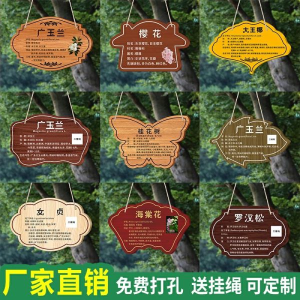 Placas Personalizadas De Acrílico Para Escolas E Parques, Placas De Identificação Em Aço Inoxidável, Placas Informativas Sobre Plantas, Placas De Apresentação De Árvores, Etiquetas Para Cuidar De Flores E Árvores Frutíferas, Etiquetas Suspensas Com Cordão.  |   Placa De Apresentação Das Árvores Placa De Apresentação Das Árvores Placa De Apresentação Das Árvores