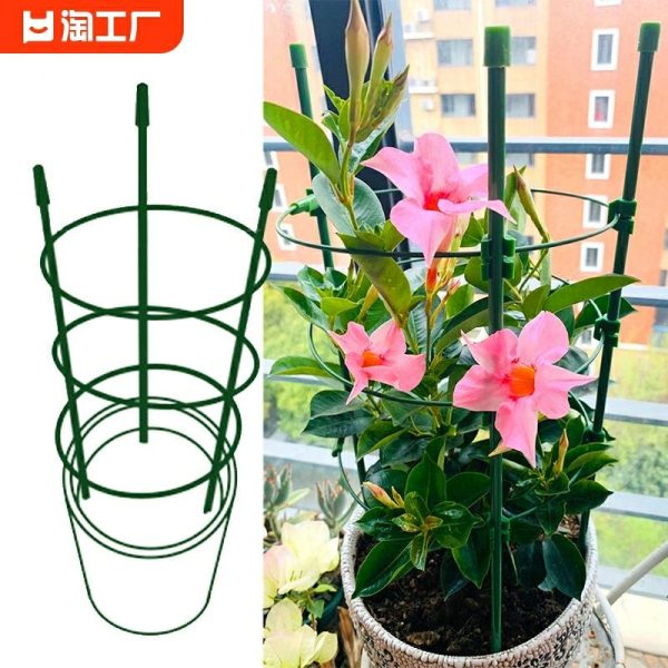 Estrutura Para Plantas Trepadeiras, Suporte Para Cacto De Lápis, Suporte Para Girassol, Estacas Para Enxerto De Plantas, Varas De Apoio Para Epipremnum Aureum, Suporte Para Rosas.  |   Suporte De Jardinagem Suporte De Jardinagem Suporte De Jardinagem